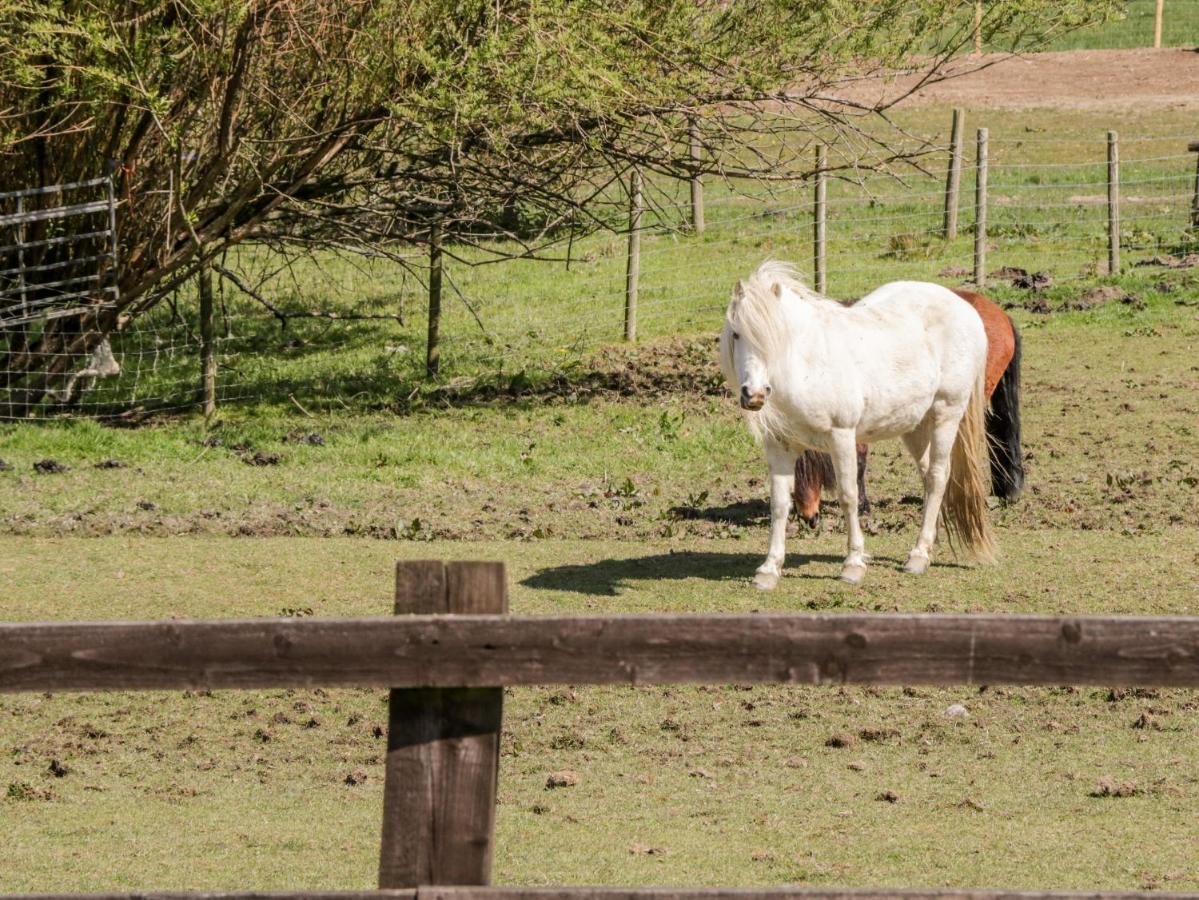 Oakwood Stables Villa Conwy Buitenkant foto